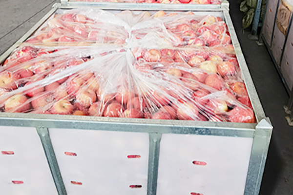 Provided Cold Storage Apple Baskets for Gansu Demei Diyuan Modern Agriculture Group Co., Ltd.