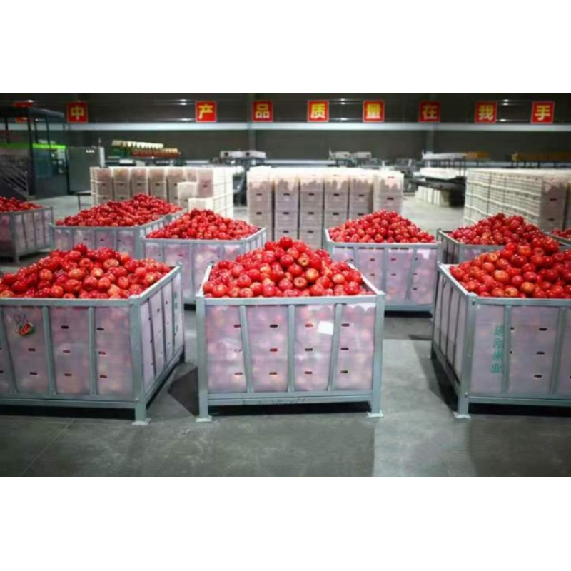 How do metal storage boxes help shorten the cooling time of fruits and vegetables?